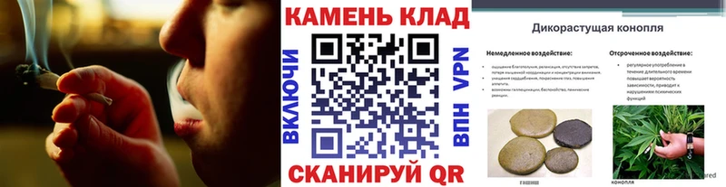 Гашиш hashish  Сосновка 